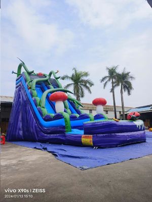 マルマー壁 泡王国 プール付きの水上スライド